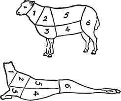 Cuts of Lamb and Mutton.
