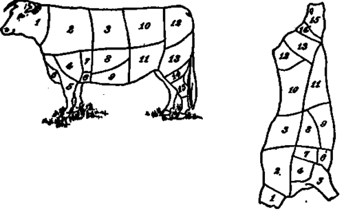 Fig. 13.   Diagrams of cuts of beef