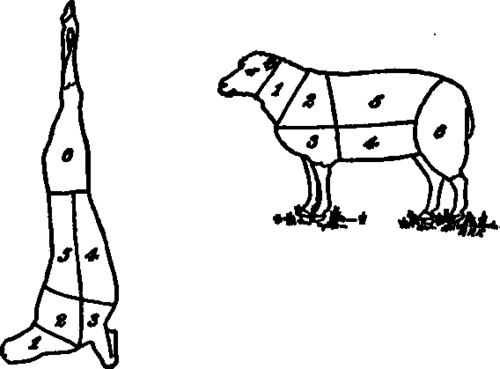 Fig. 15.   Diagrams of cuts of lamb and mutton