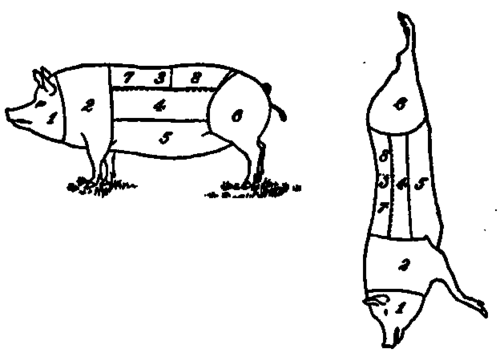 Fig. 16.   Diagrams of cuts of pork