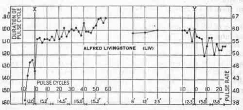Transition Pulse Squad B 107