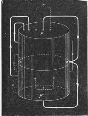 Diagram to illustrate the currents in muscle.