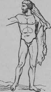 Figure of Hercules, showing the muscles which may have originated the round tab.