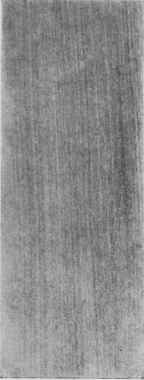 Poplar.