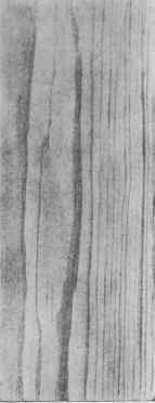 Southern Pine.