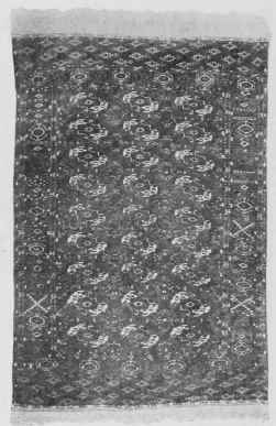 Turkoman   Bokhara.