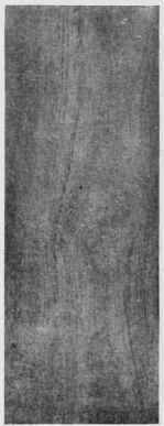 Walnut.