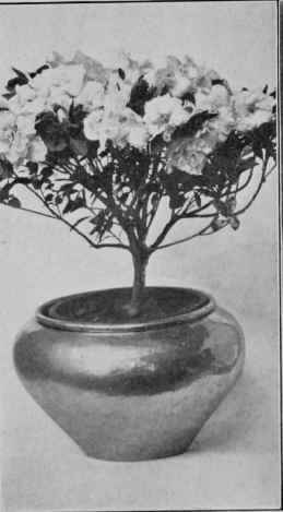 A HAMMERED BRASS JARDINIERE