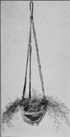 A HOLDER FOR FLOWERS, MADE OF RAFFIA AND POTTERY