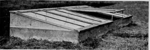 A HotBed 354