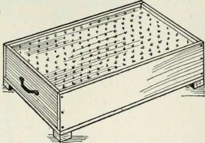 Seed Boxes and Paper Pots 365