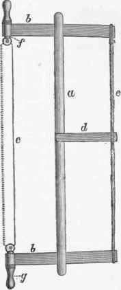 Fig. 38. Broad webbed