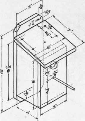 Bird House 54