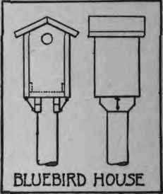 How To Make A Bluebird House 224