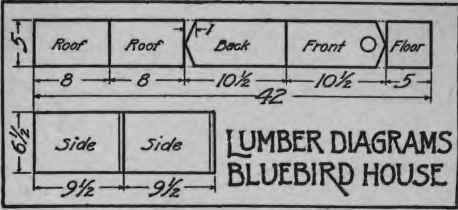 How To Make A Bluebird House 225