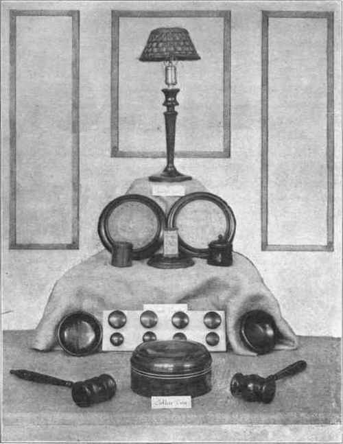 Fig. 64. Small Croup Arranged for Exhibition.