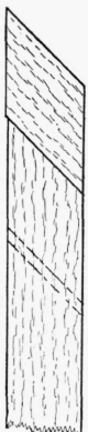 Fig. 239.
