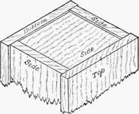 Fig. 250.