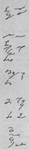 Cotton 317
