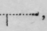 Would Expressed By Halving 702