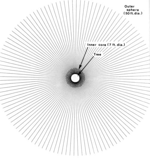 Viewed from Directly Overhead