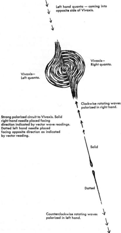 Pattern of left and right quanta coming into Vivaxis