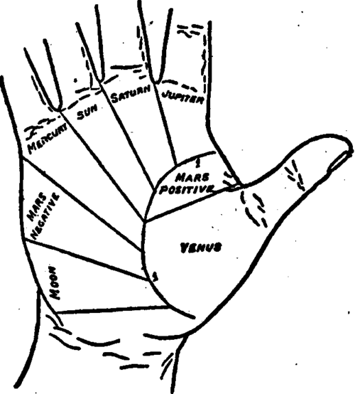 Plate VIII. The Line Of Life And Sections Of Influences From The Mounts.
