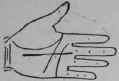 3 Malformations 777