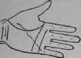 A Line Cutting The Root Of The Second Finger 343