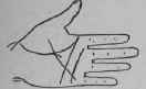 A Line Cutting The Root Of The Second Finger 344