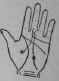 An Ill Fated Marriage 379