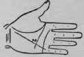 IV The Second Or Inner Angle 972