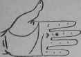 Parlysis 91