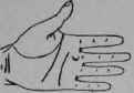 Parlysis 98