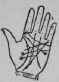 The Hand Of A Favorite Of A Royal Prince 1162
