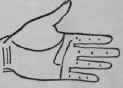 The Line Of Head IV Termination Forks At The Termi 541