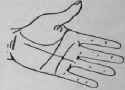 The Line Of The Sun VII Signs 914