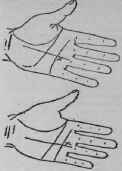 The Line Of The Sun VII Signs 915