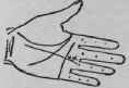 The Line Of The Sun VII Signs 916