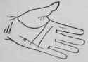 V Signs 490
