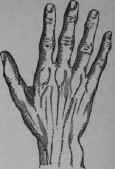 V The Philosophical Hand 36