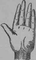 VI The Signatures Of The Mount Of The Moon 231