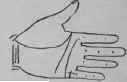 VII Signs 753