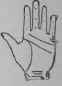 VII Signs 757