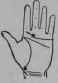 VIII Bars Capillaries And Signs 309
