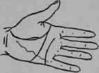 VIII Bars Capillaries And Signs 319