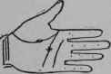 VIII Bars Capillaries And Signs 320