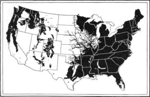 The Black Areas Show The Heavily Forested Parts Of Our Country