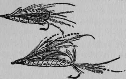 IV How Different Foods Affect Game Fishes 50