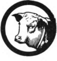 Beef Production